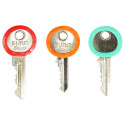 RO.R24.TPE.CRV.50 Buc discriminator cheie