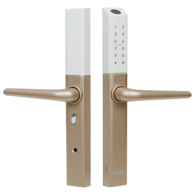 DH.S3B.RP mâner digital