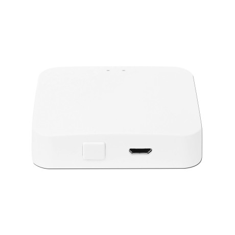 DM.GATEWAY.01 gateway pentru motor digital